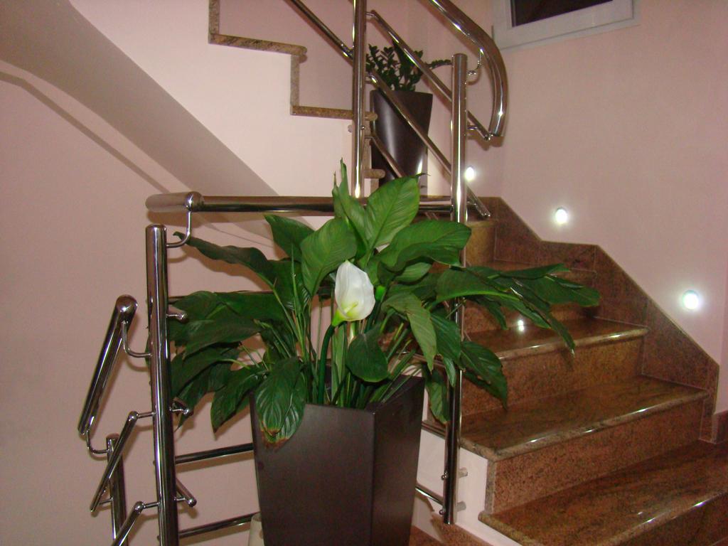 קרוואביצה Apartments Ledic מראה חיצוני תמונה